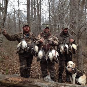 Meet your Posher, Terry